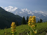 Massif du Mont-Blanc depuis les Ayres