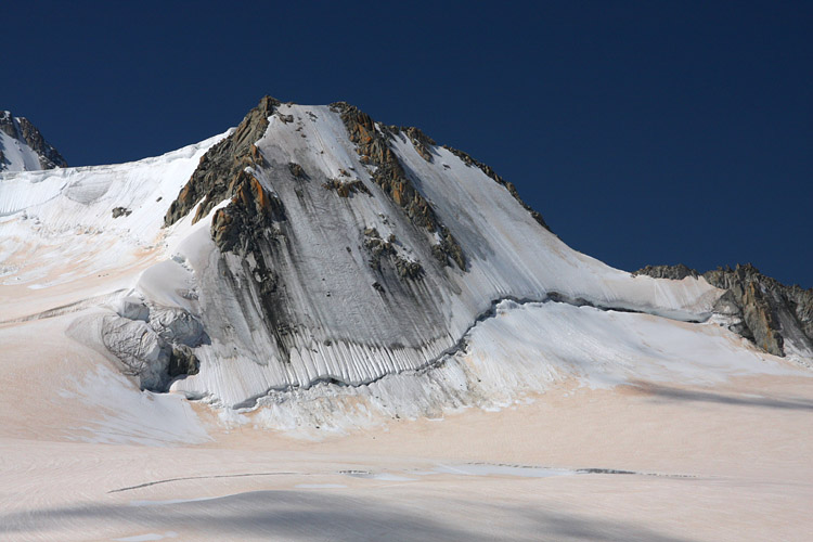 Tte Blanche