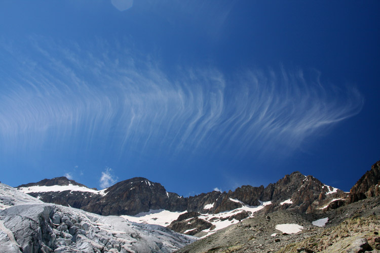 Cirrus fossile