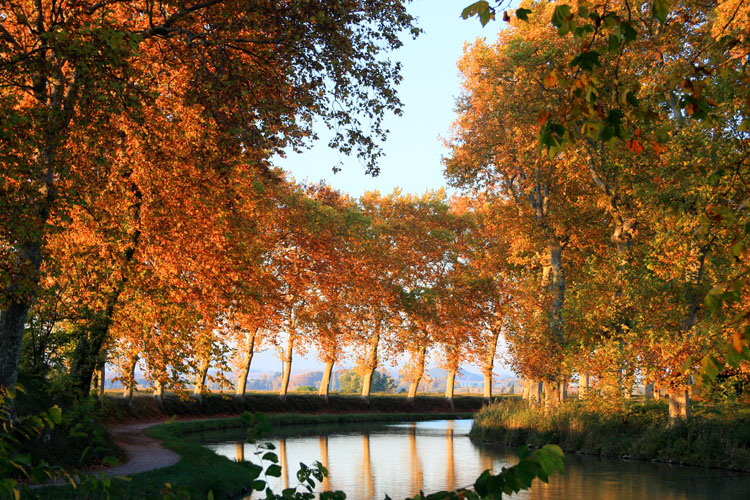 Chicane d'eau (canal du Midi)