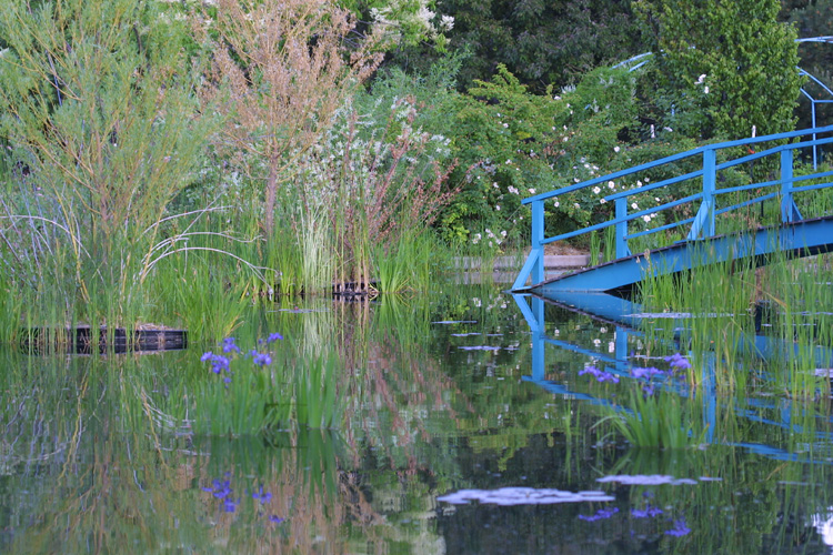 Jardin de Monet