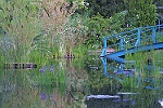 Jardin de Monet