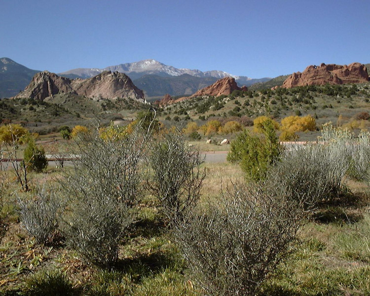 Garden of the Gods