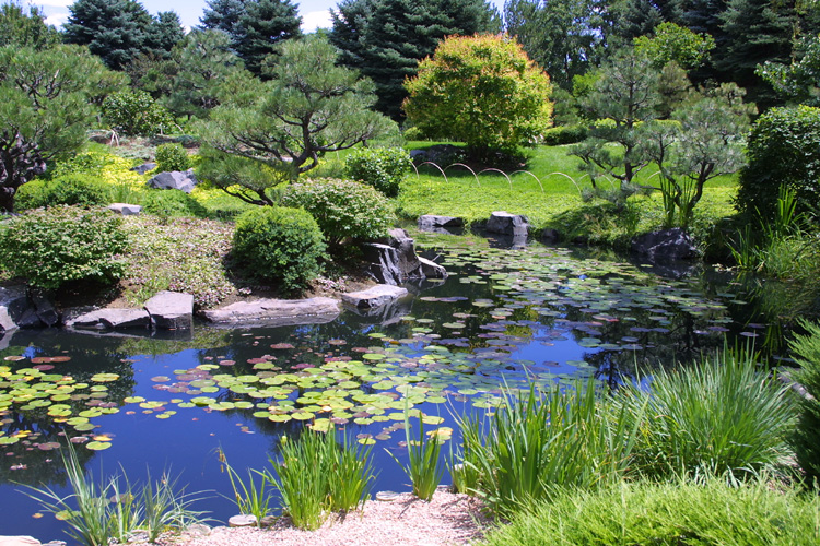 Jardin japonais