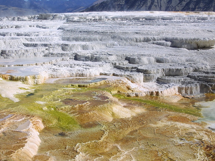 Cascades ptrifies (Mammoth Falls, Yellowstone)