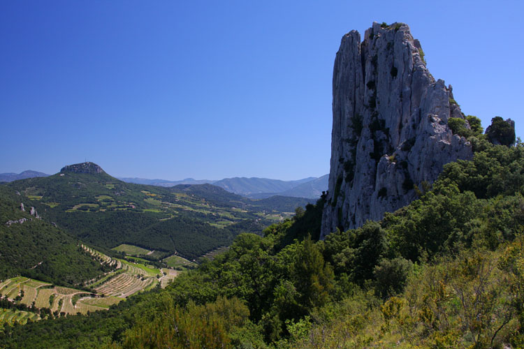 Dentelles de Montmirail