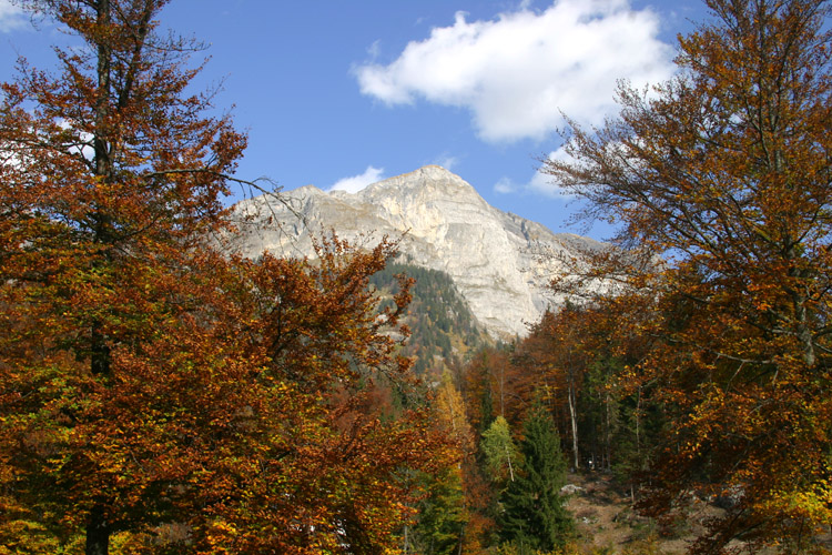 Automne au pied des Fiz