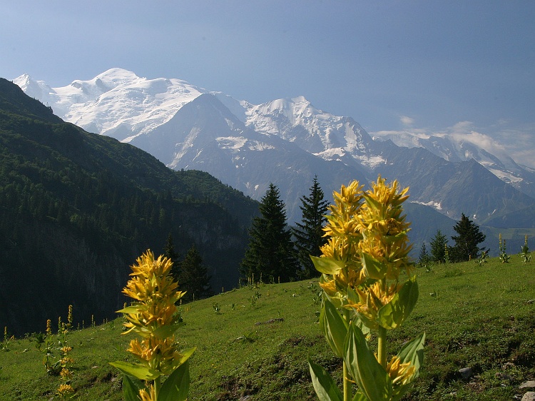 Massif du Mont-Blanc depuis les Ayres